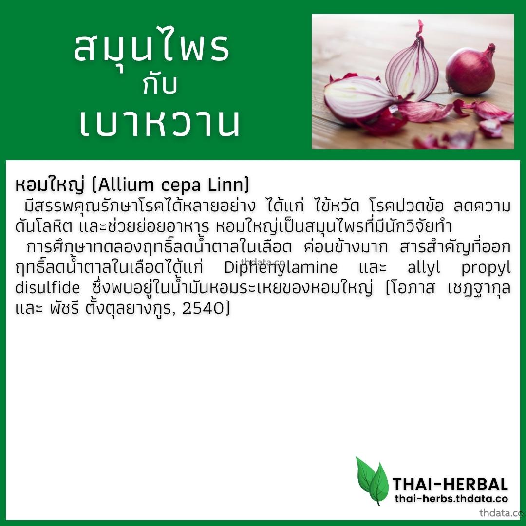 โรคเบาหวาน-กับ-สมุนไพรที่ได้รับการวิจัย-หอมใหญ่ สมุนไพร โรคเบาหวาน-กับ-สมุนไพรที่ได้รับการวิจัย-หอมใหญ่ สรรพคุณของโรคเบาหวาน-กับ-สมุนไพรที่ได้รับการวิจัย-หอมใหญ่ thai-herbs.thdata.co thdata.co