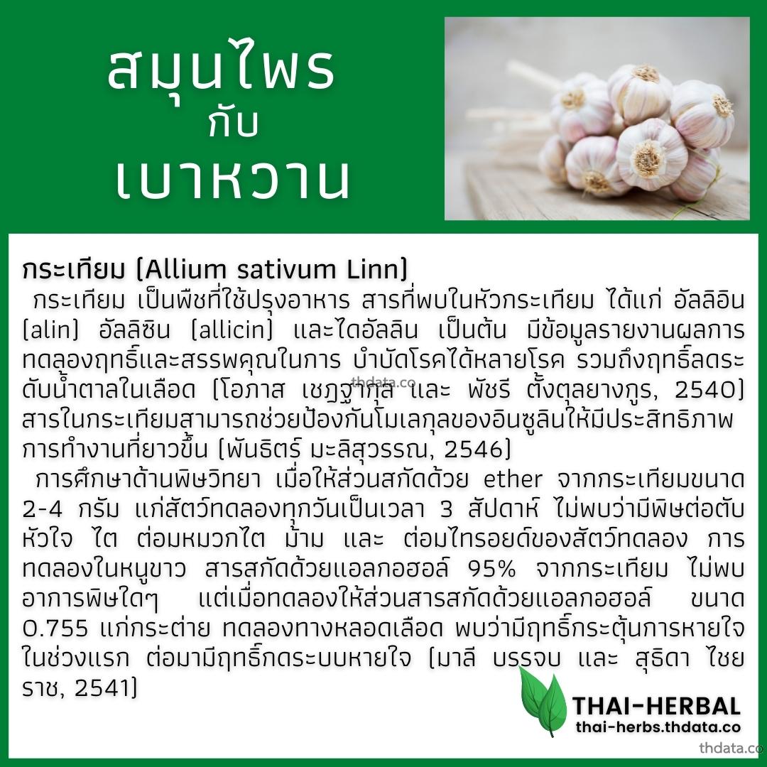 โรคเบาหวาน-กับ-สมุนไพรที่ได้รับการวิจัย-กระเทียม สมุนไพร โรคเบาหวาน-กับ-สมุนไพรที่ได้รับการวิจัย-กระเทียม สรรพคุณของโรคเบาหวาน-กับ-สมุนไพรที่ได้รับการวิจัย-กระเทียม thai-herbs.thdata.co thdata.co