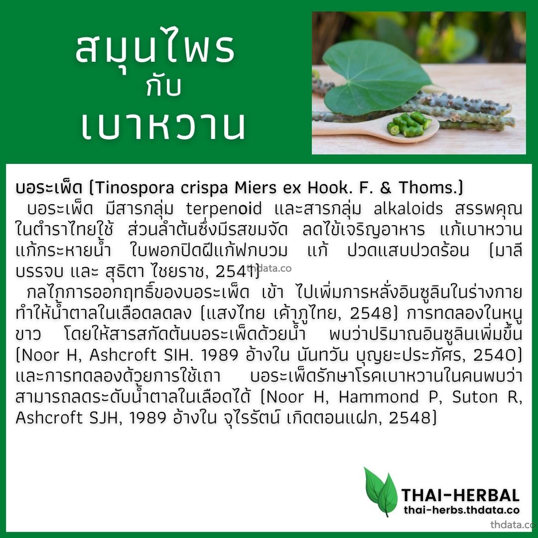 โรคเบาหวาน-กับ-สมุนไพรที่ได้รับการวิจัย-บอระเพ็ด สมุนไพร โรคเบาหวาน-กับ-สมุนไพรที่ได้รับการวิจัย-บอระเพ็ด สรรพคุณของโรคเบาหวาน-กับ-สมุนไพรที่ได้รับการวิจัย-บอระเพ็ด thai-herbs.thdata.co thdata.co