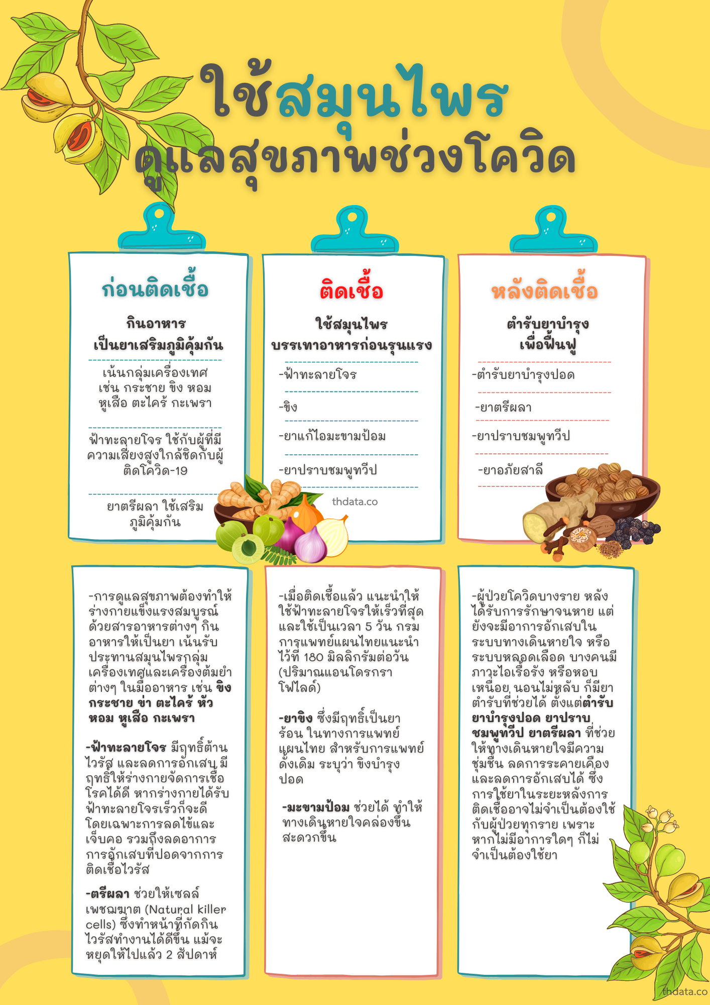ใช้สมุนไพร-ดูแลสุขภาพช่วงโควิด-19 สมุนไพร ใช้สมุนไพร-ดูแลสุขภาพช่วงโควิด-19 สรรพคุณของใช้สมุนไพร-ดูแลสุขภาพช่วงโควิด-19 thai-herbs.thdata.co thdata.co
